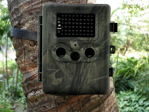 surveillance
